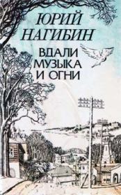 Книга - Силуэты города и лиц.  Юрий Маркович Нагибин  - прочитать полностью в библиотеке КнигаГо