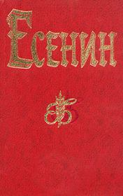 Книга - Ленин.  Сергей Александрович Есенин  - прочитать полностью в библиотеке КнигаГо