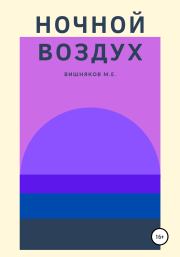 Книга - Ночной воздух.  Максим Евгеньевич Вишняков  - прочитать полностью в библиотеке КнигаГо