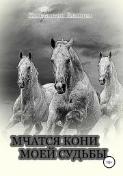 Книга - Мчатся кони моей судьбы.  Константин Викторович Еланцев  - прочитать полностью в библиотеке КнигаГо