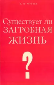 Книга - Существует ли загробная жизнь (другой перевод).  Павел Иосифович Рогозин  - прочитать полностью в библиотеке КнигаГо