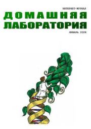 Интернет-журнал "Домашняя лаборатория", 2008 №1.   (Журнал «Домашняя лаборатория»)