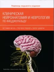 Книга - Клиническая нейроанатомия и неврология по Фицджеральду.  Эстомих Мтуи , Грегори Грюнер , Питер Докери  - прочитать полностью в библиотеке КнигаГо