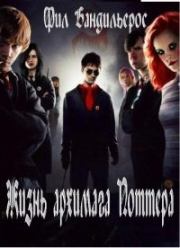 Жизнь архимага Поттера. Ф. Н. Шемелин