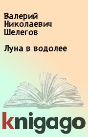 Книга - Луна в водолее.  Валерий Николаевич Шелегов  - прочитать полностью в библиотеке КнигаГо