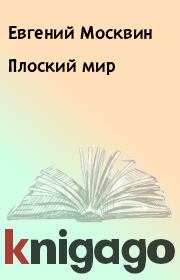 Книга - Плоский мир.  Евгений Москвин  - прочитать полностью в библиотеке КнигаГо