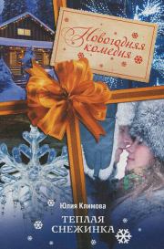 Книга - Теплая снежинка.  Юлия Владимировна Климова  - прочитать полностью в библиотеке КнигаГо
