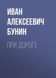 Книга - При дороге.  Иван Алексеевич Бунин  - прочитать полностью в библиотеке КнигаГо