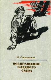 Книга - Возвращение блудного сына.  Владимир Григорьевич Соколовский  - прочитать полностью в библиотеке КнигаГо