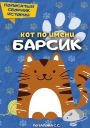 Книга - Кот по имени Барсик 2.  Светлана Потапова  - прочитать полностью в библиотеке КнигаГо