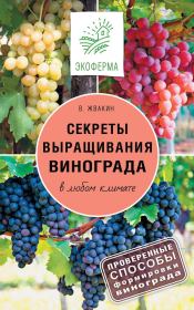 Книга - Секреты выращивания винограда в любом климате. Проверенные способы формировки винограда.  Виктор Жвакин  - прочитать полностью в библиотеке КнигаГо