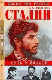 Книга - Сталин. Путь к власти.  Юрий Васильевич Емельянов  - прочитать полностью в библиотеке КнигаГо