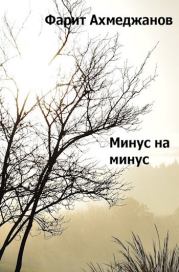 Книга - Минус на минус.  Фарит Маратович Ахмеджанов  - прочитать полностью в библиотеке КнигаГо