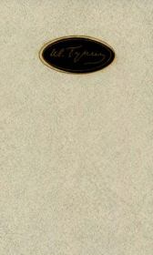 Книга - Том 2. Произведения 1887-1909.  Иван Алексеевич Бунин  - прочитать полностью в библиотеке КнигаГо