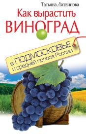 Как вырастить виноград в Подмосковье и средней полосе России. Татьяна Александровна Литвинова