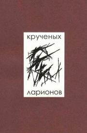 Книга - Помада.  Алексей Елисеевич Крученых  - прочитать полностью в библиотеке КнигаГо