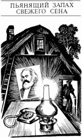 Пьянящий запах свежего сена. Руди Штраль