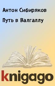 Книга - Путь в Валгаллу.  Антон Сибиряков  - прочитать полностью в библиотеке КнигаГо