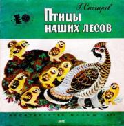 Книга - Птицы наших лесов.  Геннадий Яковлевич Снегирёв  - прочитать полностью в библиотеке КнигаГо