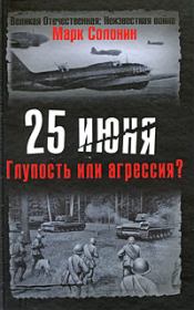 25 июня. Глупость или агрессия?. Марк Семёнович Солонин