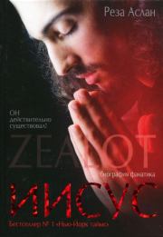 Книга - Zealot. Иисус: биография фанатика.  Реза Аслан  - прочитать полностью в библиотеке КнигаГо