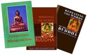 Книга - Повторяя слова Будды.  Тулку Ургьен Ринпоче  - прочитать полностью в библиотеке КнигаГо
