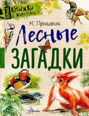 Книга - Лесные загадки.  Михаил Михайлович Пришвин  - прочитать полностью в библиотеке КнигаГо