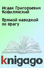 Книга - Прямой наводкой по врагу.  Исаак Григорьевич Кобылянский  - прочитать полностью в библиотеке КнигаГо