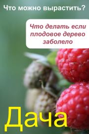 Что можно вырастить Что делать, если плодовое дерево заболело. Илья Мельников