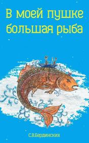 Книга - В моей пушке большая рыба (СИ).  Степан Бердинских  - прочитать полностью в библиотеке КнигаГо