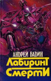 Книга - Лабиринт смерти.  Андрей Алексеевич Бадин  - прочитать полностью в библиотеке КнигаГо