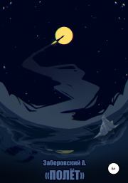 Полет. Алексей Олегович Заборовский