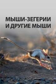 Книга - Мыши-зегерии и другие мыши.   l_eonid  - прочитать полностью в библиотеке КнигаГо