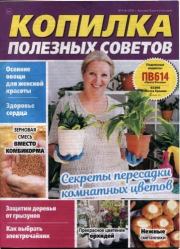 Копилка полезных советов 2025 №4(04).  журнал «Копилка полезных советов»