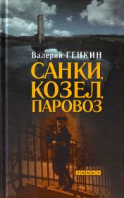Книга - Санки, козел, паровоз.  Валерий Исаакович Генкин  - прочитать полностью в библиотеке КнигаГо