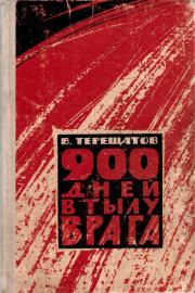 Книга - 900 дней в тылу врага.  Виктор Ильич Терещатов  - прочитать полностью в библиотеке КнигаГо