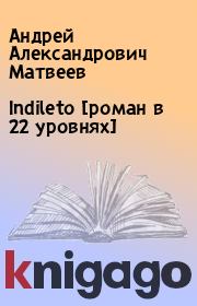 Книга - Indileto [роман в 22 уровнях].  Андрей Александрович Матвеев  - прочитать полностью в библиотеке КнигаГо