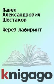 Книга - Через лабиринт.  Павел Александрович Шестаков  - прочитать полностью в библиотеке КнигаГо