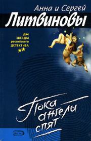 Пока ангелы спят. Анна и Сергей Литвиновы