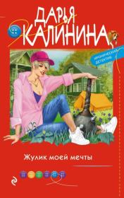 Книга - Жулик моей мечты.  Дарья Александровна Калинина  - прочитать полностью в библиотеке КнигаГо