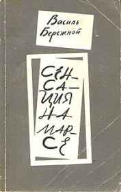 Младший брат Солнца. Василий Павлович Бережной