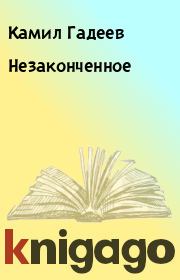 Книга - Незаконченное.  Камил Гадеев  - прочитать полностью в библиотеке КнигаГо