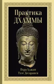 Книга - Практика Дхаммы.  Пхра Аджан Тхэт Десаранси  - прочитать полностью в библиотеке КнигаГо