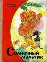 Книга - Солнечный мальчик.  Николай Георгиевич Поливин  - прочитать полностью в библиотеке КнигаГо
