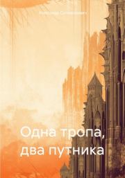Книга - Одна тропа, два путника.  Александр Соломонович  - прочитать полностью в библиотеке КнигаГо