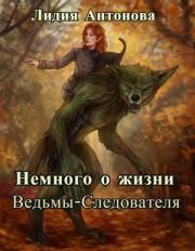 Книга - Немного о жизни Ведьмы-Следователя [СИ].  Лидия Антонова  - прочитать полностью в библиотеке КнигаГо
