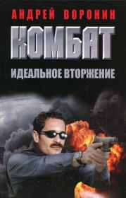 Комбат. Идеальное вторжение. Андрей Воронин