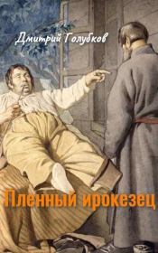 Книга - Пленный ирокезец.  Дмитрий Николаевич Голубков  - прочитать полностью в библиотеке КнигаГо