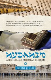 Книга - Иудаизм. Древнейшая мировая религия.  Николас де Ланж  - прочитать полностью в библиотеке КнигаГо