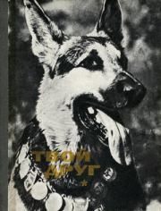 Книга - Твой друг (Сборник по собаководству, 1973 г.).  К Б Глиер  - прочитать полностью в библиотеке КнигаГо